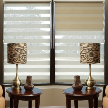 Update Your Rooms With Zebra Shades
