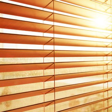 Let The Sun Shine In & Beat This Long-Lasting Winter