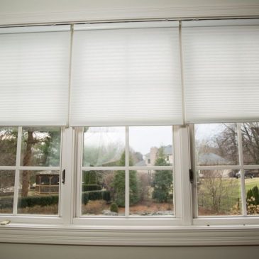 Avoid SAD By Maximizing Natural Light In Your Home This Winter